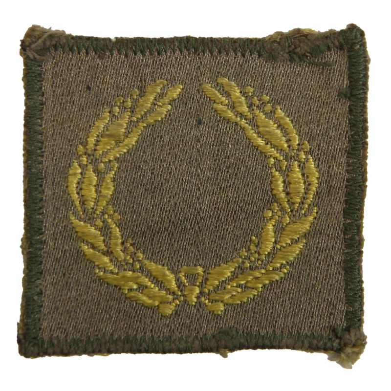 Insignia, Meritorious Unit Citation Insignia, Meritorious Unit Citation