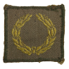 Insignia, Meritorious Unit Citation
