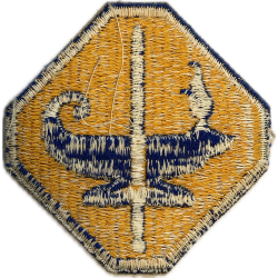 Insigne, Army Specialized Training Program