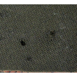 Calot officier, chocolat, taille 55, British Made, E.W. Vero & Co., 1944