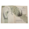 Magazine, AIR FORCE, janvier 1945