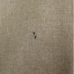 Trousers, Field, Wool, Serge, Special, 32 x 31, 1943
