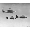 Insigne de poitrine, 422nd Night Fighter Squadron, 9th Air Force, en cuir