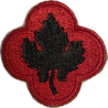 Insigne, 43rd Infantry Division