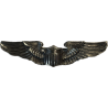 Wings, Pilot, Small, USAAF, Sterling