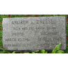 Plaques d'identité, T/4 Andrew Dressel, Medical Detachment, 630th Tank Destroyer Bn., blessé, ETO