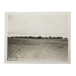 Photo, C-47 & gliders, Overlord, 1944