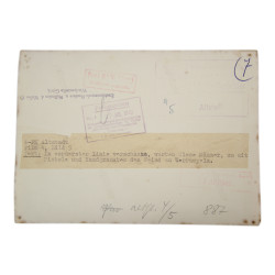 Photographie de presse, Légion „Flandern“, Ersatzkommando Flandern u. Wallonien d. Waffen-ᛋᛋ, front de l'Est, 1942