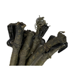 Cords, Bungee, Green, Parachute, Reserve, T-5, to be repaired