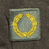 Blouson Ike & calot, T/4 Peter Gerken, Jr., Medic, ETO Blouson Ike & calot, T/4 Peter Gerken, Jr., Medic, ETO