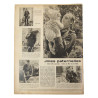 Magazine, Der Adler, July 13, 1943, Fallschirmjager