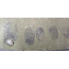 Liner, Helmet, M1, WESTINGHOUSE, Green A Washers, Named