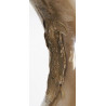 Clairon en plastique (Tenite), AMAN OFFICIAL BUGLE, US Army