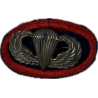 Oval & Jump Wings, 505th PIR, 82nd Airborne Division