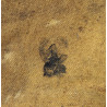 Cover, Lee-Enfield, Canadian, WOODS MFG. CO. LTD. 1943