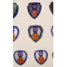 Frame, 9th Air Force, USAAF, 45 Insignia