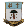 Crest, 163rd Infantry Regiment, 41st Infantry Division, à épingle
