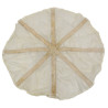 Pilot chute, USAAF, for parachute canopy