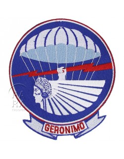 Patch de poitrine du 501ème régiment parachutiste