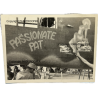 Photo, USAAF, B-25H, Nose Art, 'PASSIONATE PAT'