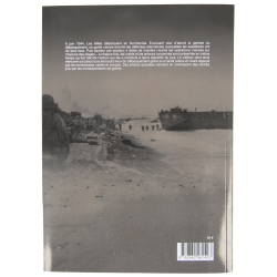 The Landing Beaches - The guide