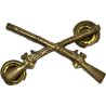 Insignia, Collar, Officer, US Infantry, Snow flakes