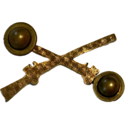 Insignia, Collar, Officer, US Infantry, Snow flakes