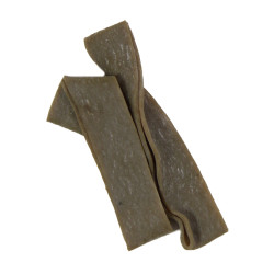 Bands, Rubber, Parachute, USAAF