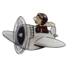 Pin, Flighting airplane