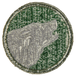 Patch, 104th Infantry Division