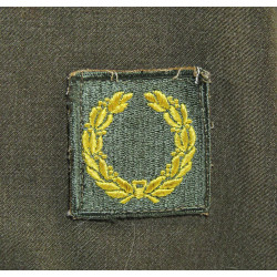 Grouping, Sergeant, Combat Leader, 104th Infantry Division, ETO