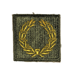 Insigne, Meritorious Unit Citation