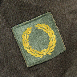 Veste de sortie WAC, Technical Sergeant, 6th Infantry Division