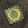 Jacket, Dress, Service, WAC, Technical Sergeant, 6th Infantry Division Jacket, Dress, Service, WAC, Technical Sergeant, 6th Infantry Division