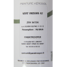 Paint, US Army, Olive Drab Indian 42, Spray