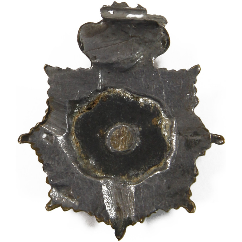 標本 Germany Dyisus margimalis 31mm Tim_Holtz_Sizzix_3D_Large_A5_E