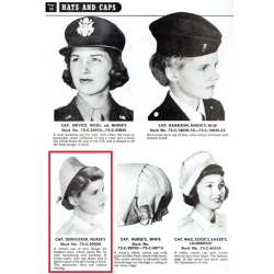 Dress and Cap, Seersucker, US Army Nurse Corps, Named