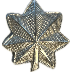 Insignia, Rank, Lieutenant Colonel, Pin Back, AMICO
