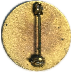 Crest, DUI, US Army Air Forces, PB