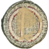 Insigne, 85th Infantry Division