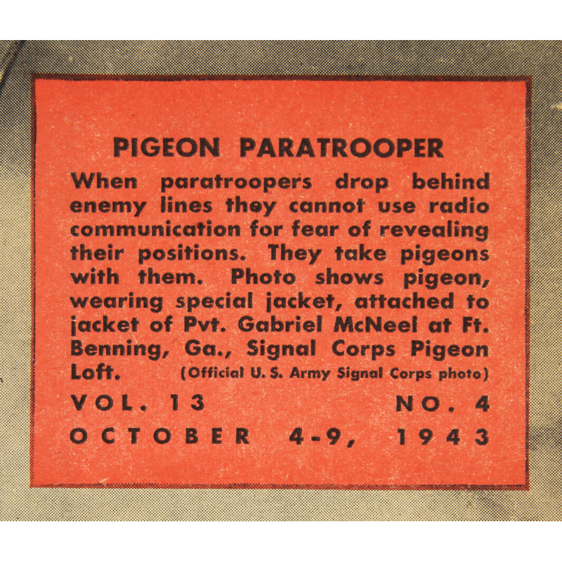 Magazine JUNIOR SCHOLASTIC, octobre 1943, Pigeon Paratrooper
