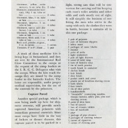 Valise, Capture Parcel, American Red Cross, Large