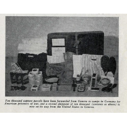 Valise, Capture Parcel, American Red Cross, Large