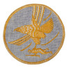 Insigne, 1st Troop Carrier Command