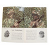 Manual, Field, FM 5-20 A, Camouflage of Individuals and Infantry Weapons, 1944
