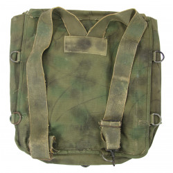 Bag, Ammunition, M2, US Army, Modified, Camouflaged
