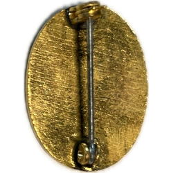 Crest, 30th Infantry Division, à épingle