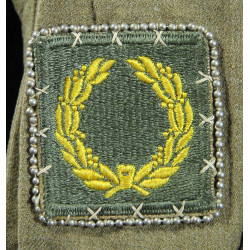 Shirt, Wool, Special, 29th Infantry Division, 14 ½ x 33