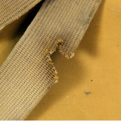 Gilet de sauvetage Type B-4, USAAF, 1942