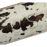 Pelle en T, M-1910, avec étui, B.B.S. Co. 1943, camouflage blanc, Bataille des Ardennes